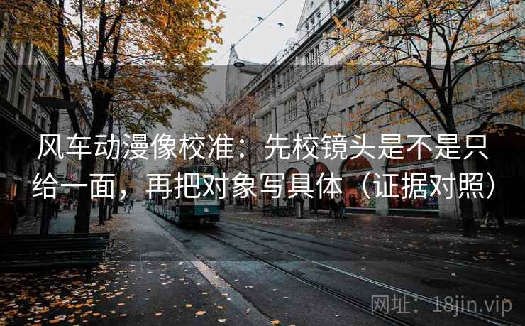 风车动漫像校准：先校镜头是不是只给一面，再把对象写具体（证据对照）