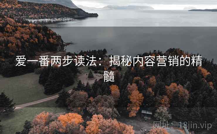 爱一番两步读法:揭秘内容营销的精髓 爱一番两步读法:揭秘内容营销的精髓