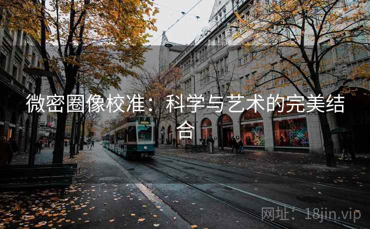 微密圈像校准:科学与艺术的完美结合 微密圈像校准:科学与艺术的完美结合